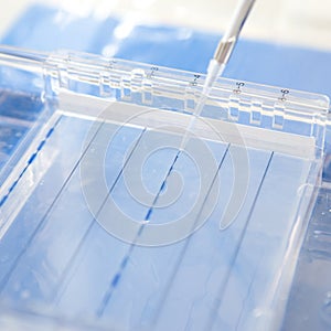 Electrophoresis