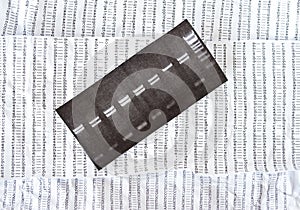 Electrophoresis picture on a crumpled DNA sequence background