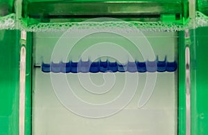 Electrophoresis, separation technique of proteins and nucleic acids