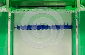 Electroforesis departamento técnica de proteínas a ácidos 