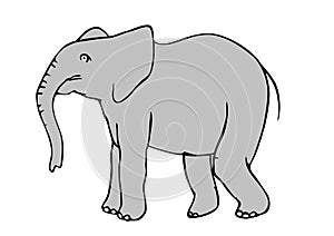 Elefant
