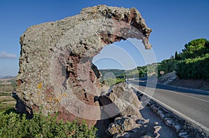 Elefante roccia, Sardinia photo