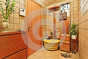 Elegance anteroom interior in warm tones