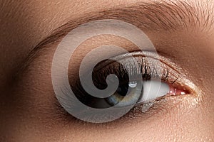 Elegance close-up of female eye with classic dark brown smoky ma