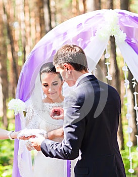 Elegance groom putting on wedding ring his bride. Wedding ceremony