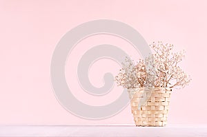 Elegance home eco decor - white dried flowers bouquet in bucket on white table and fashion pink background.