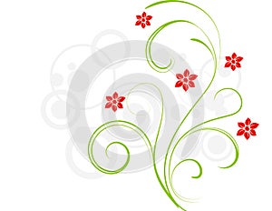 Elegance red flowers