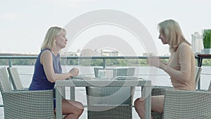 Elegant adult woman greeting friend in outdoor restaurant. Side view of positive adult Caucasian women meeting in cafe