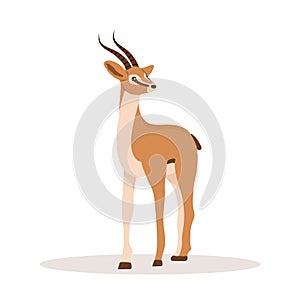 Elegant african antelope. Gazelle with horns on white background. Mammal animal. Vector illustration in flat cartoon