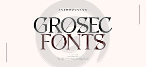 Elegant alphabet letters font. Classic Modern Serif Lettering Minimal Fashion Logo Designs. Typography decoration fonts for