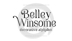 Elegant alphabet letters font. Typography fonts regular uppercase and lowercase. Vector illustration of typeface a to z.