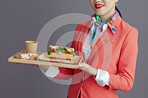Elegant asian female flight attendant isolated on gray
