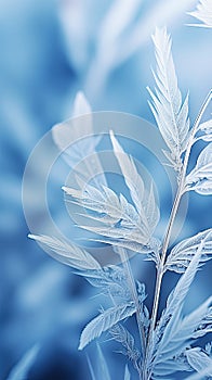 Elegant background of frozen leaves in ice. Delicate texture. Frosty beautiful natural winter or spring background
