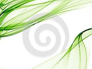 Elegant background with soft green designs