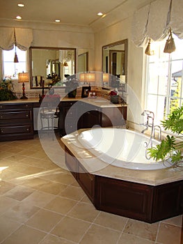 Elegant Bath Room