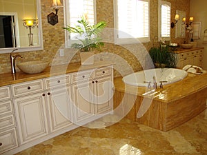 Elegant Bath Room photo