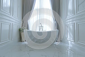 Elegant bathroom ambiance with a lavish white freestanding bathtub and refined decor