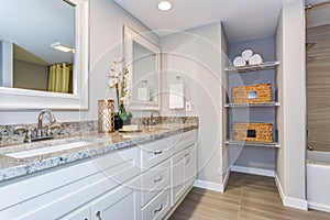 Elegant bathroom with long white vanity cabinet