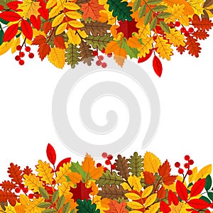 Elegant and beautiful autumn leaves and elements. Bright images for Thanksgiving Day.