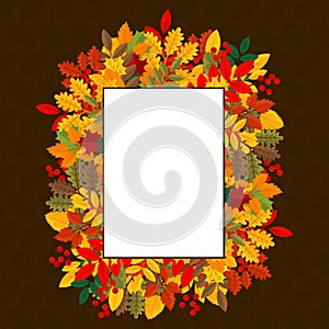 Elegant and beautiful autumn leaves and elements. Bright images for Thanksgiving Day