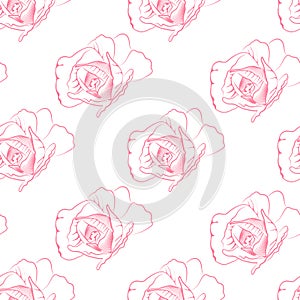Elegant beautiful vector floral hand-drawn two-color pattern with contour drawing of pink rose flower transparent background for