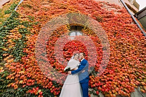 Elegant beautiful wedding couple, bride and groom posing in park near wall with red creeping plant