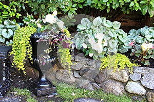 Elegant begonia planter