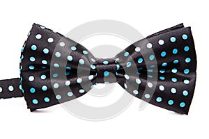 Elegant black bow tie in blue polka dots