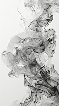 Elegant black smoke swirls on white background