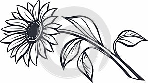 Elegant Black and White Sunflower Outline Illustration, vector design Generative AI
