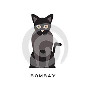 Elegant bombay cat. Type of short-haired feline with black coat, pink nose and brown eyes. Cartoon character of purebred