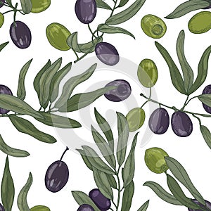 Elegant botanical seamless pattern with olive tree branches with leaves, black and green ripe fruits or drupes on white