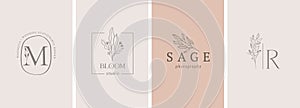 Elegant, botanique logo collection, hand drawn illustrations of flowers, leaves and twig, delicate and minimal monogram