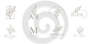 Elegant, botanique logo collection, hand drawn illustrations of flowers, leaves and twig, delicate and minimal monogram