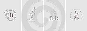 Elegant, botanique logo collection, hand drawn illustrations of flowers, leaves and twig, delicate and minimal monogram photo