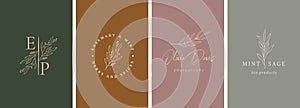 Elegant, botanique logo collection, hand drawn illustrations of flowers, leaves and twig, delicate and minimal monogram photo