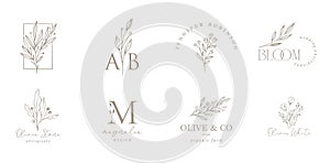 Elegant, botanique logo collection, hand drawn illustrations of flowers, leaves and twig, delicate and minimal monogram photo