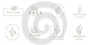 Elegant, botanique logo collection, hand drawn illustrations of flowers, leaves and twig, delicate and minimal monogram photo