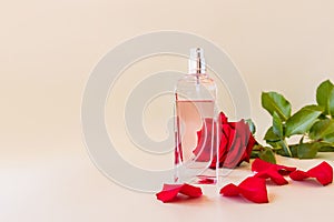 an elegant bottle of women's perfume or toilet water against the backdrop of a beautiful red rose. aroma