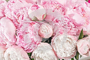 Elegant bouquet of a lot of peonies of pink color close up. Beautiful flower for any holiday. Lots of pretty and photo
