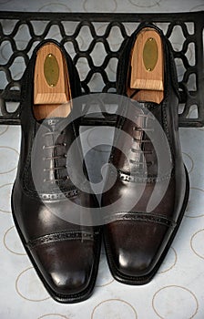 Elegant brown shoes