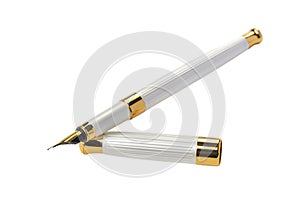 Elegant business fountain pen with gold nib