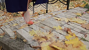 Elegant businesswoman climbing stairs in autumn