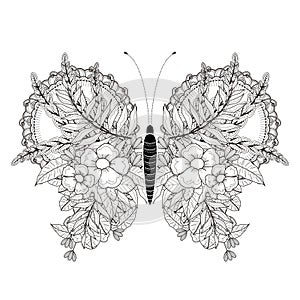 Elegant butterfly coloring page