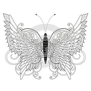 Elegant butterfly coloring page