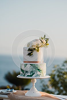 Elegant cake during wedding ceremony