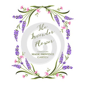 Elegant card with lavender flowers.