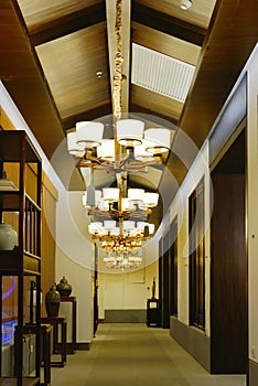 Elegant ceiling lighting