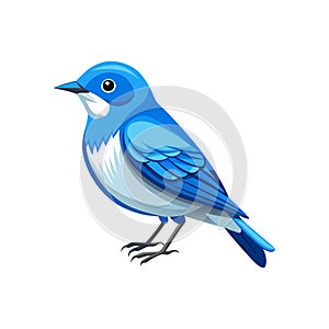 Elegant Cerulean Warbler Bird Vector