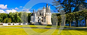 Elegant Chenonceau castle - beautiful castles of Loire valley in photo